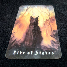 Load image into Gallery viewer, Cat Oracle Reading

