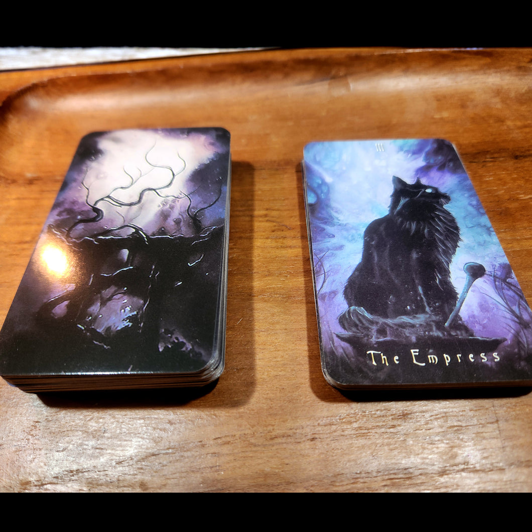 Cat Oracle Reading