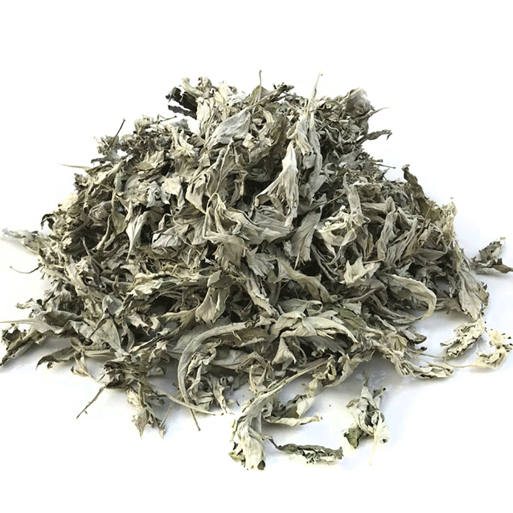 Dried Mugwort Natural Locally Grown in Canada 20 grams